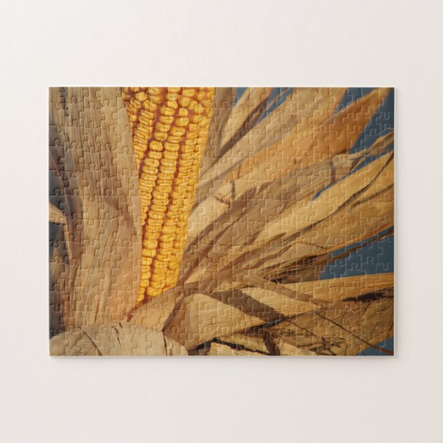Harvest Corn colourful photo Jigsaw Puzzle (Horizontal)