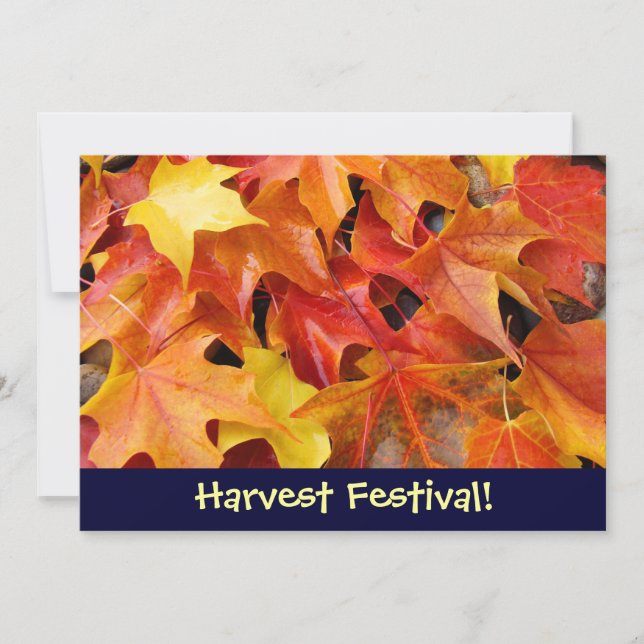 Harvest Festival! Invitations Event Announcements (Front)