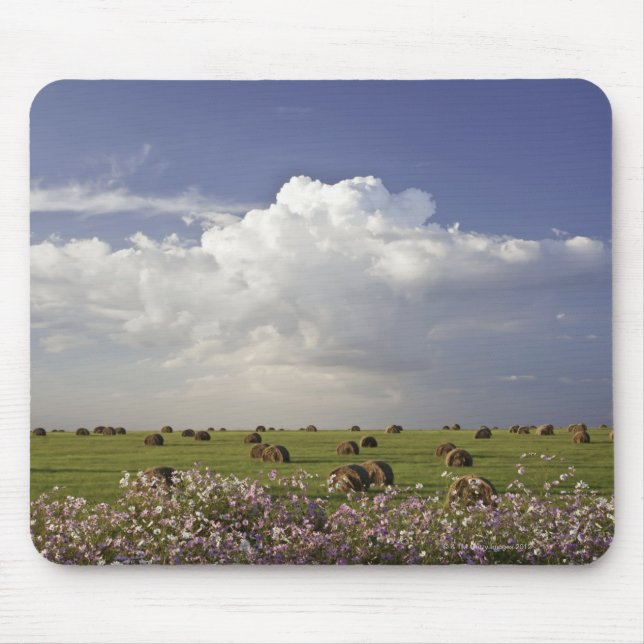 Harvest fields with cosmos flowers in mouse mat (Front)