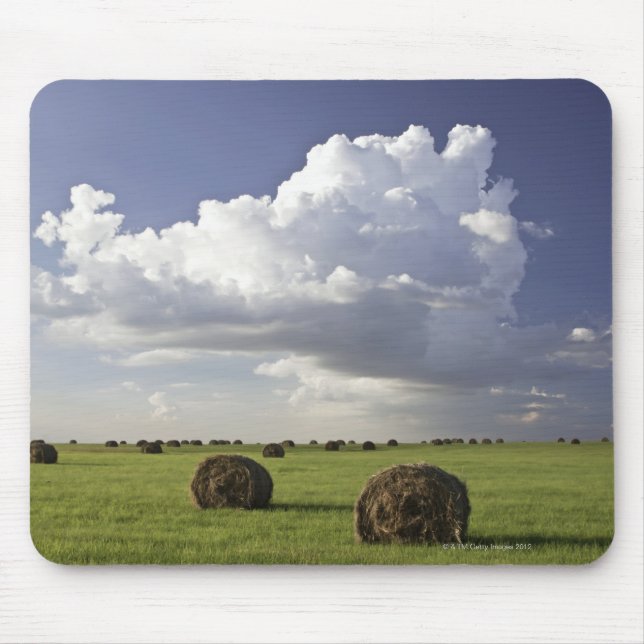 Harvest fields with storm clouds, Heidelberg Mouse Mat (Front)