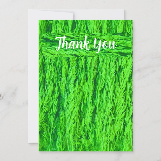 Harvest Green Grass Seed Photo Thank You Card (Front)