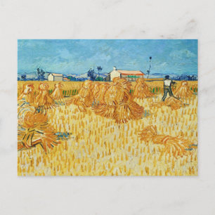 Harvest in Provence by Van Gogh Postcard