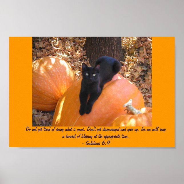 Harvest Kitten Poster (Front)