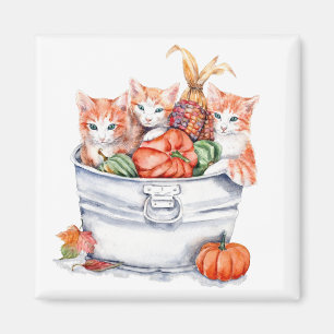 Harvest Kittens Magnet