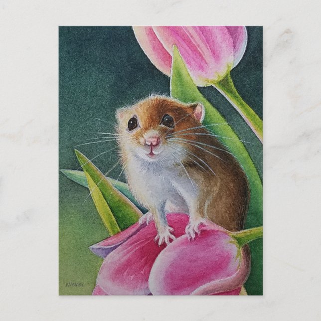 Harvest Mouse On Pink Tulip Spring Watercolor Art  Postcard (Front)
