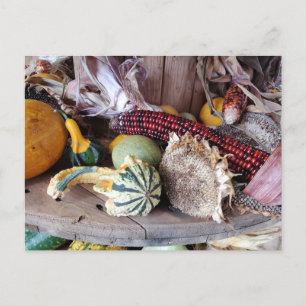 Harvest Postcard