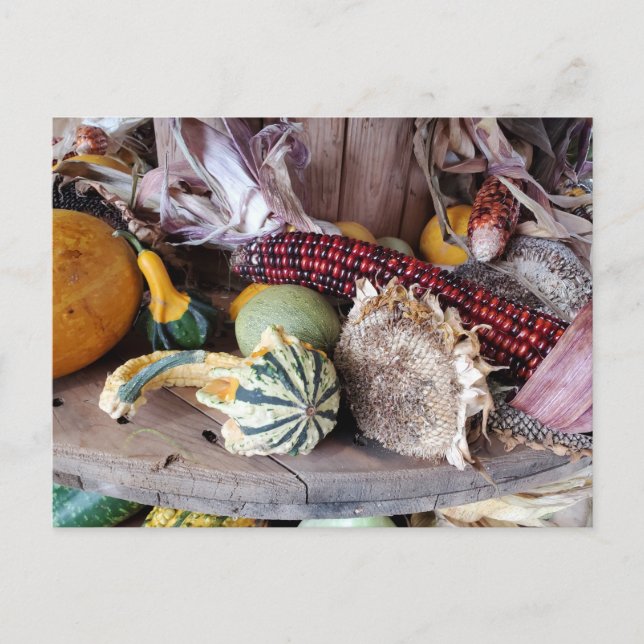 Harvest Postcard (Front)