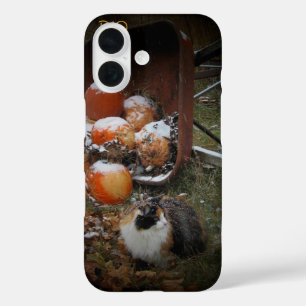 Harvest Pumpkins and Calico Cat iPhone 16 Case