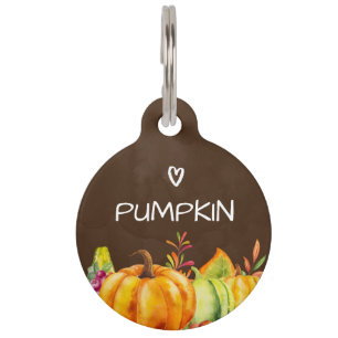 Harvest Pumpkins, Leaves and Foliage Pet Tag
