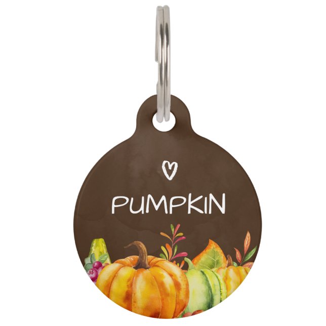 Harvest Pumpkins, Leaves and Foliage Pet Tag (Front)
