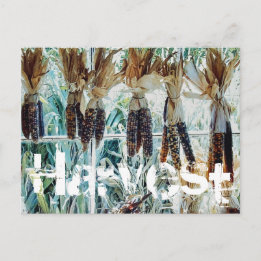 Harvest Season Farmer's Market Postcard