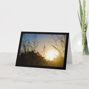 Harvest Sunrise Card