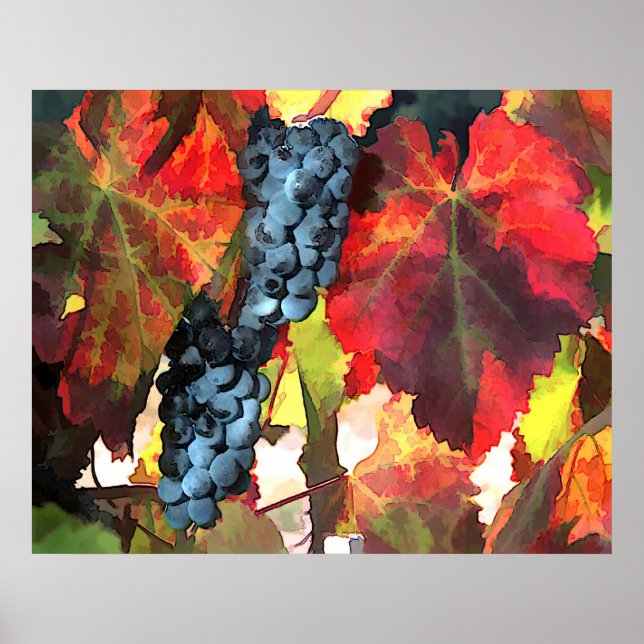 Harvest Time Grapes and Leaves Poster (Front)