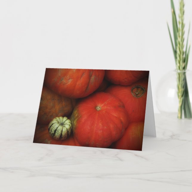 Harvest Time Holiday Card (Front)