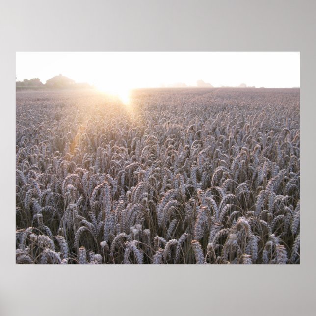Harvest Time Poster (Front)