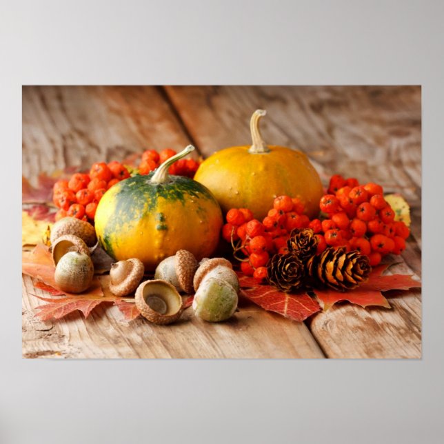 Harvested pumpkins with fall leaves poster (Front)