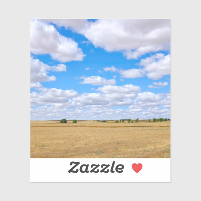 Harvested wheat fields  (Sheet)