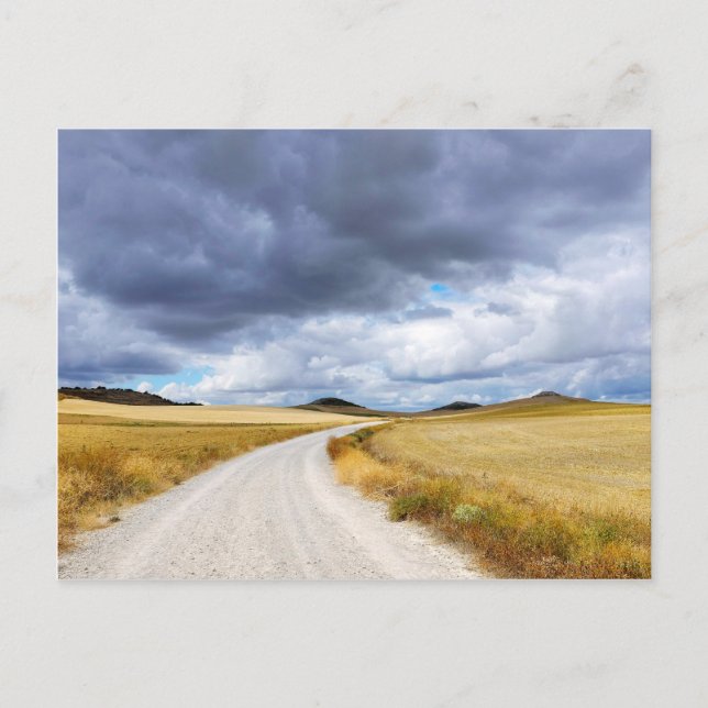 Harvested wheat fields postcard (Front)