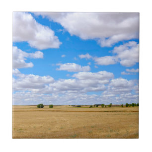 Harvested wheat fields tile