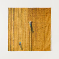 Harvester machine working in field. Combine harves