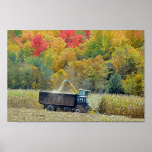 Harvesting Corn in Vermont Poster