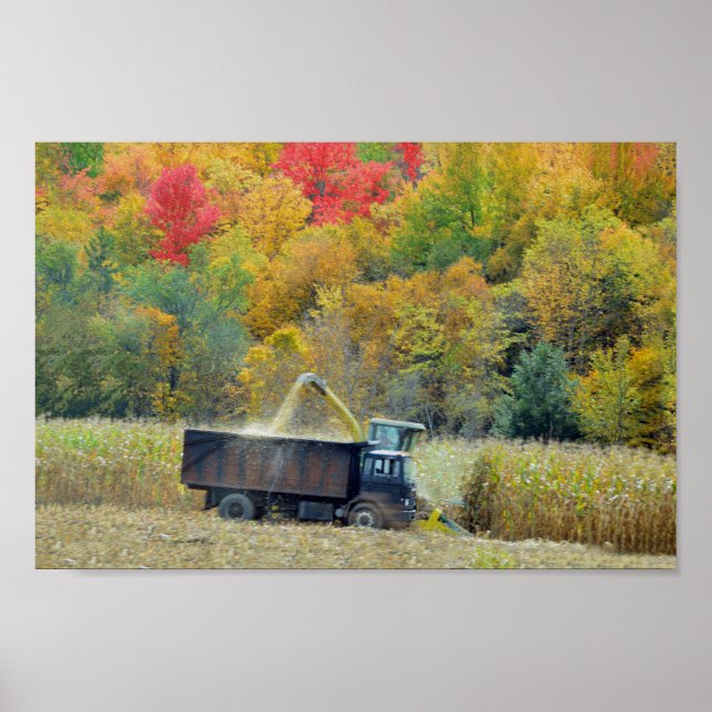 Harvesting Corn in Vermont Poster (Front)