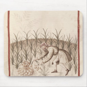 Harvesting Garlic Mouse Mat