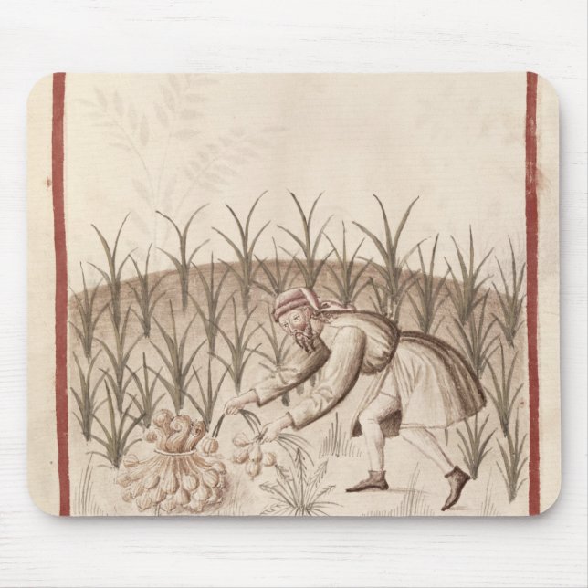 Harvesting Garlic Mouse Mat (Front)