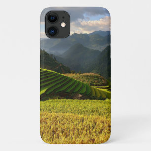 harvesting plants on mountains with cloudy sky iPhone 11 case