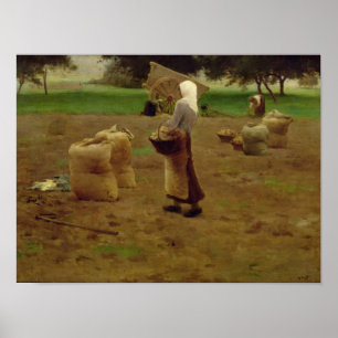 Harvesting Potatoes Poster