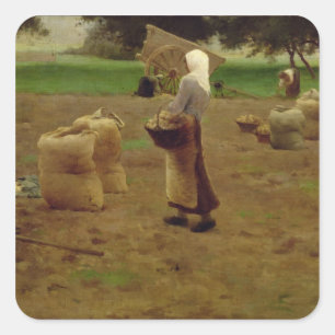 Harvesting Potatoes Square Sticker