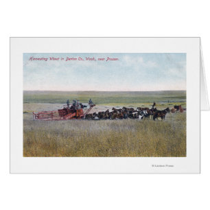 Harvesting Wheat Scene