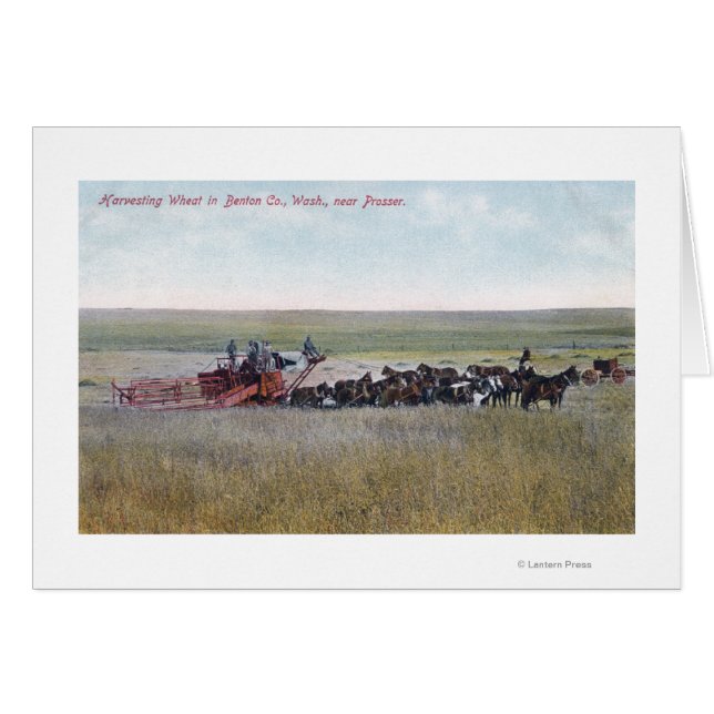 Harvesting Wheat Scene (Front Horizontal)