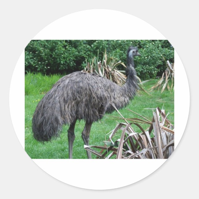 Harvey Classic Round Sticker (Front)