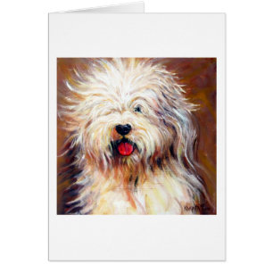 Harvey - Old English Sheep Dog