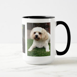 Harvey the Cavahon Mug