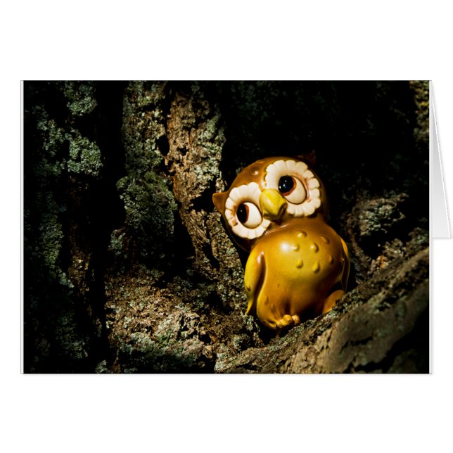 Harvey the Owl I (Front Horizontal)