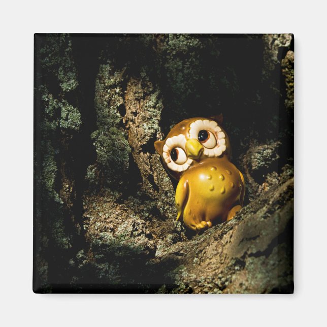 Harvey the Owl I Magnet (Front)