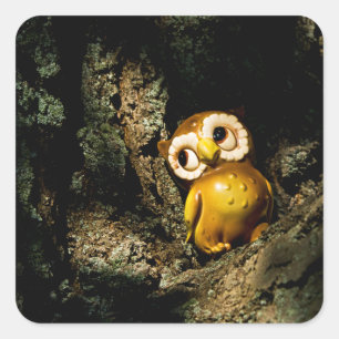 Harvey the Owl I Square Sticker