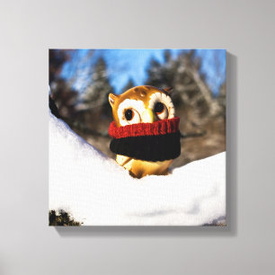 Harvey the Owl IV Canvas Print