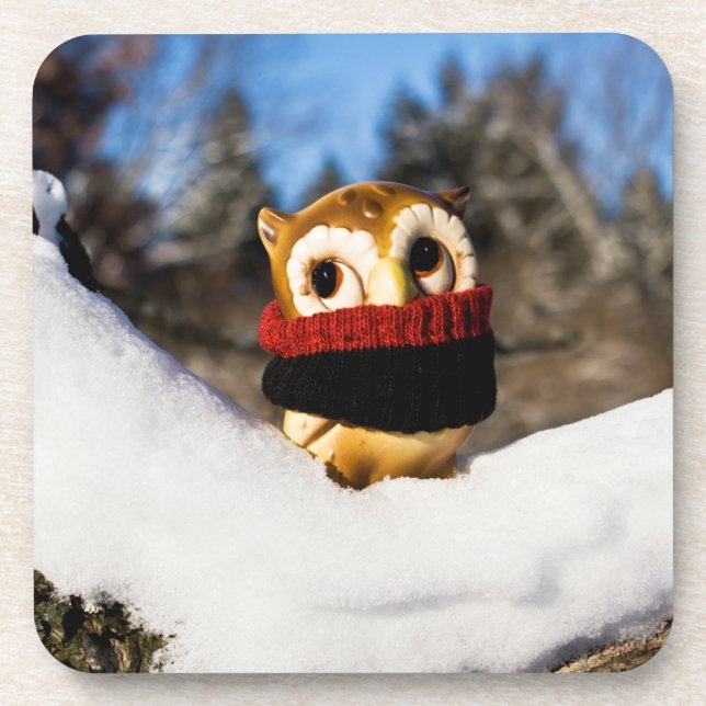 Harvey the Owl IV Coaster (Front)