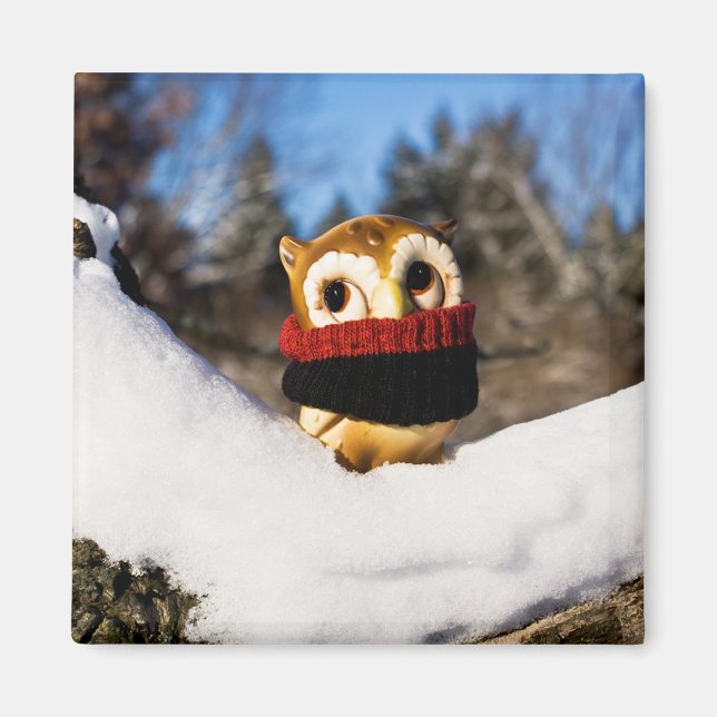 Harvey the Owl IV Magnet (Front)
