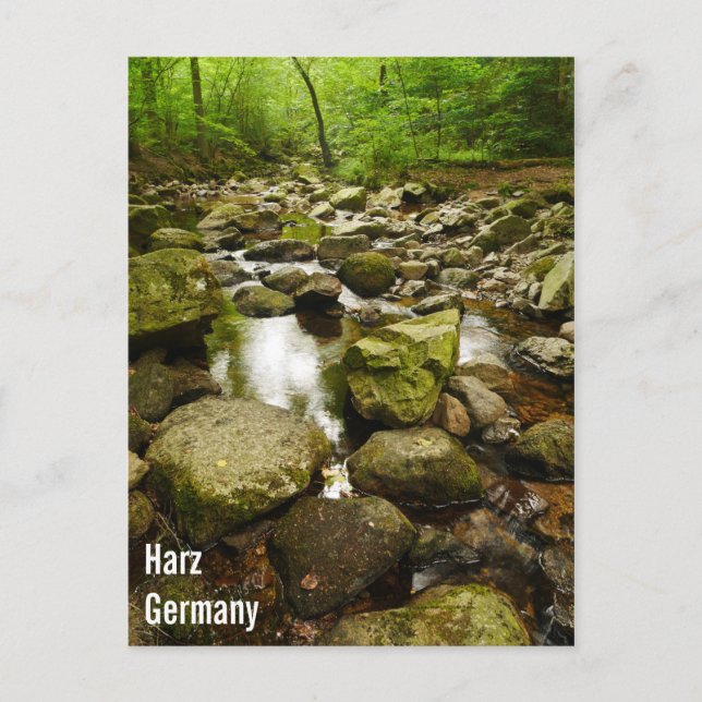 Harz Germany Postcard (Front)