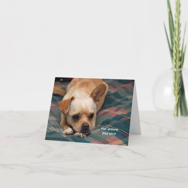 Has Anyone Told You? Card (Front)