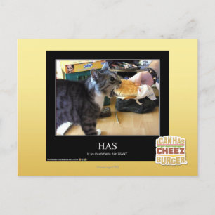 Has Postcard