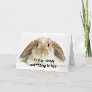 HAS THE EARS/HOPE'S TO HEAR YOUR EASTER HAPPY HOLIDAY CARD