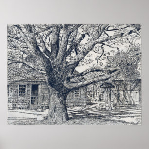 Hassam - Oak And Old House In Spring Poster