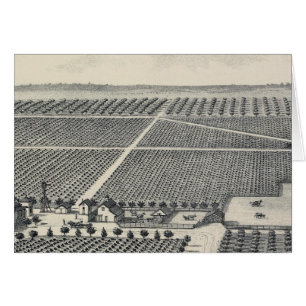 Hastie Vineyard, California