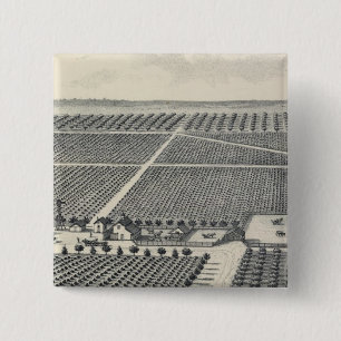Hastie Vineyard, California 15 Cm Square Badge