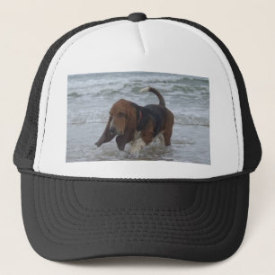 Hat Basset Hound By The Sea